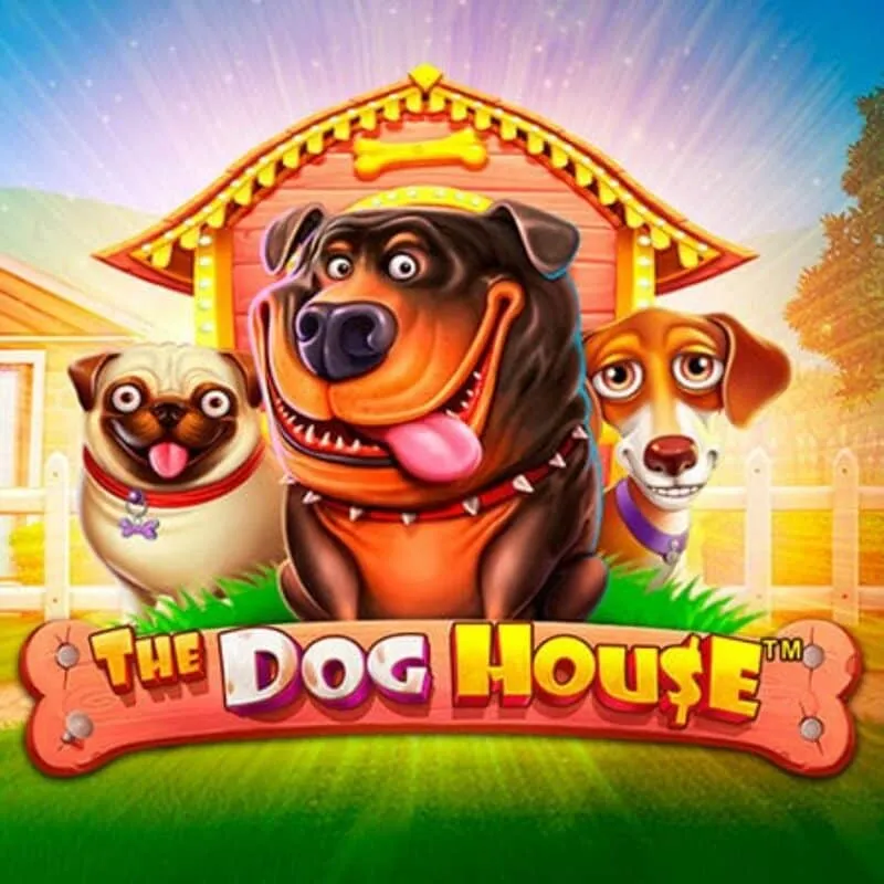 Dog House pokie at Ice Casino NZ